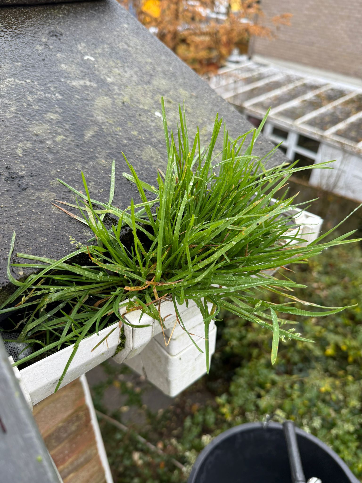 Blocked gutter downpipe in Grove